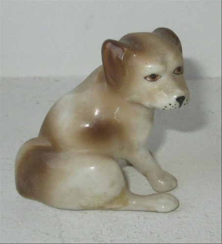 Chiot porcelaine - chiot, en