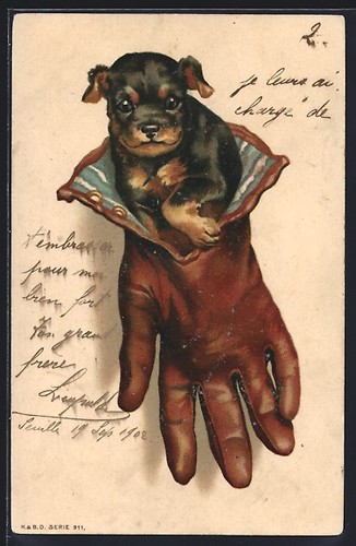 Lithographie chiot est dans - , le