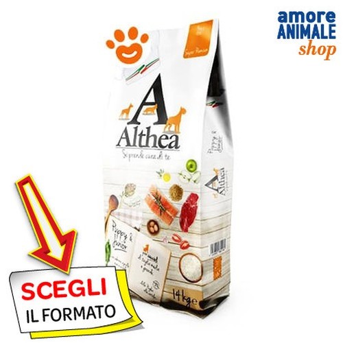Dagel althea chien moyen - chien, grand