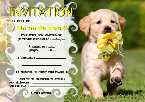 Cartes invitation - ou,