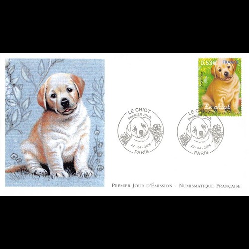 Fdc lnf jeunes animaux - lnf,