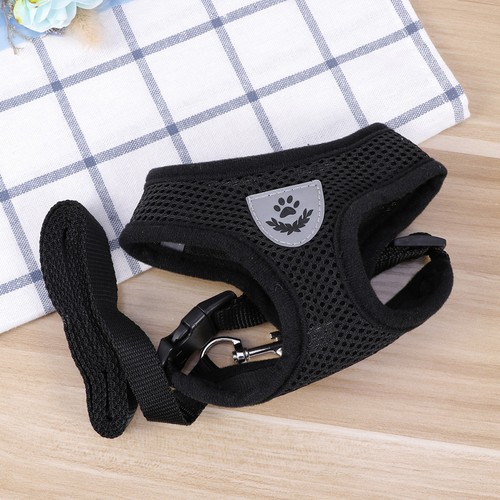 Harnais chien petite taille - chien,