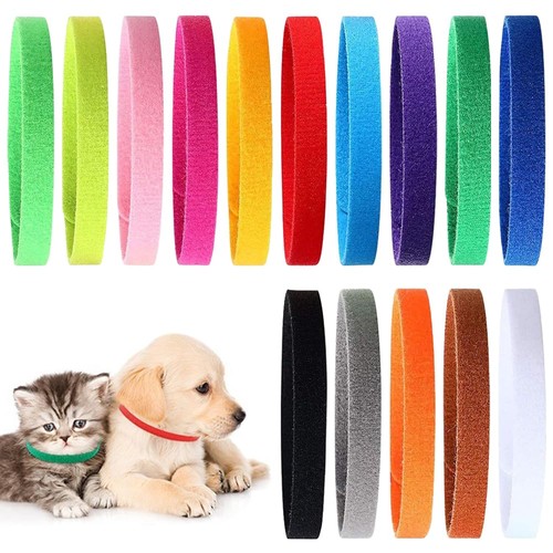 Pièces collier chiot - collier,