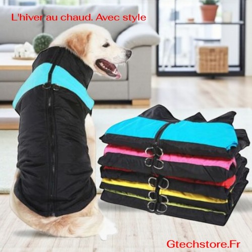 Manteau chien hiver - manteau,