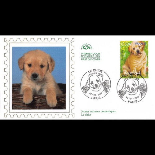 Cef soie jeunes animaux - cef,