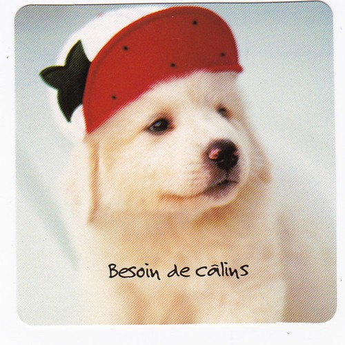 Chien chiot chiens carte - chiot,