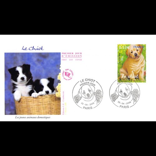 Fdc jeunes animaux - -,