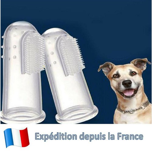Brosse dents pour chien - à,
