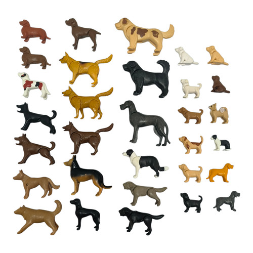 Sympa chien chiot - chiot, aux