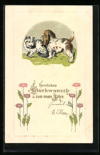 Carte postale gaufrée chiot